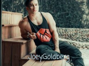 JoeyGoldberg