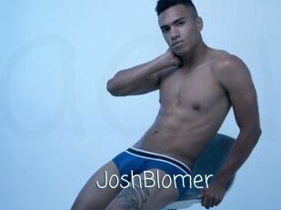 JoshBlomer