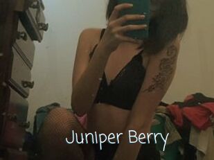 Juniper_Berry