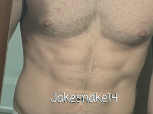 Jakesnake14
