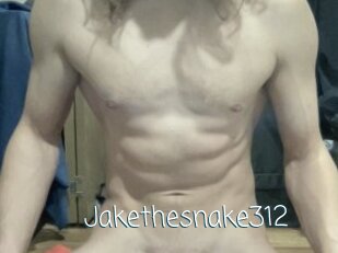 Jakethesnake312