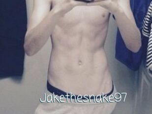 Jakethesnake97