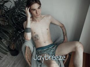 Jaybreeze