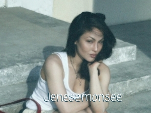 Jenesemonsee
