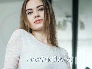 Jevelineflower