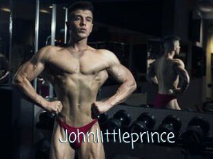 Johnlittleprince