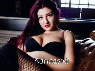 Karinasodi