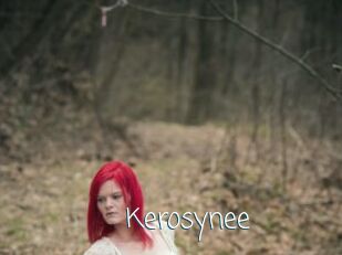 Kerosynee