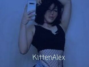 KittenAlex