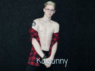 Kaisunny