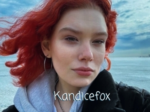 Kandicefox