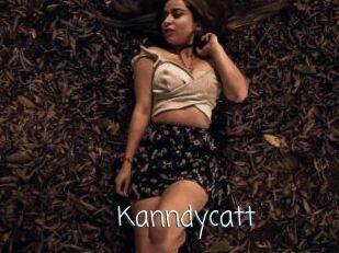Kanndycatt