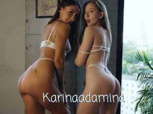 Karinaadamina