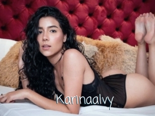 Karinaalvy