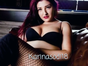 Karinasodi18