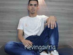 Kevingaviria