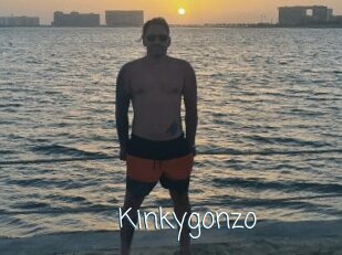 Kinkygonzo