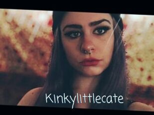 Kinkylittlecate
