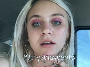 Kittysplaypen18
