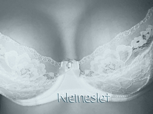 Kleineslet