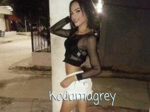 Kodamagrey