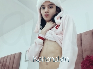 Koltonalvin