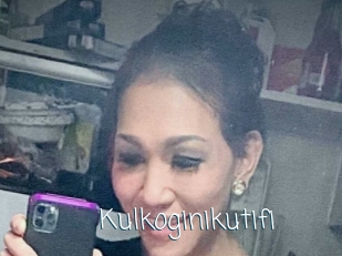 Kulkoginikutifi