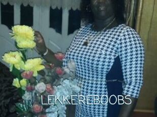 LEKKEREBOOBS