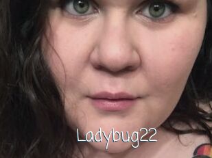 Ladybug22