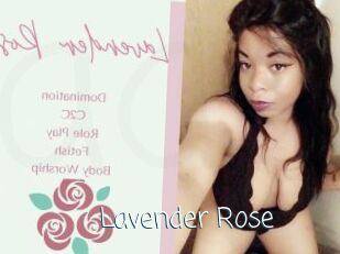 Lavender_Rose