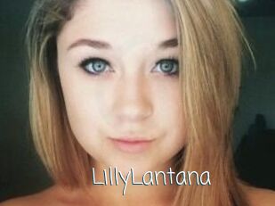 LillyLantana