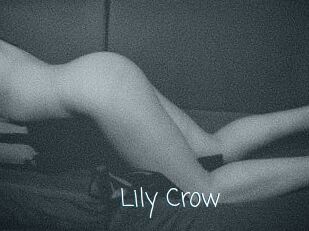 Lily_Crow