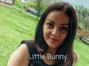 Little_Bunny_