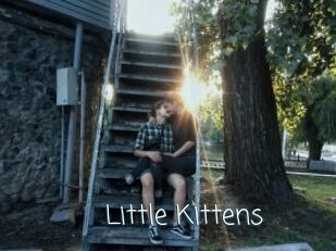 Little_Kittens