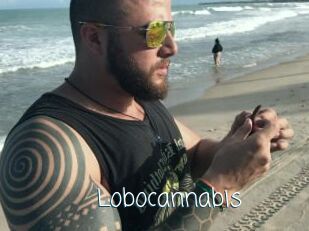Lobocannabis