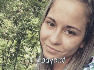 Ladybird