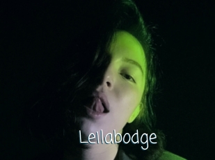 Leilabodge