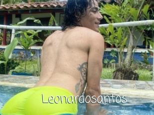 Leonardosantos