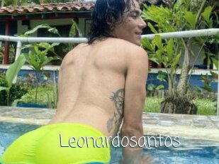 Leonardosantos