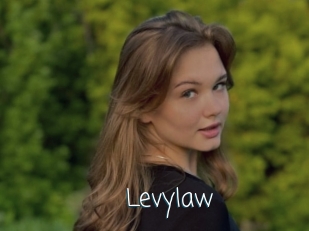 Levylaw