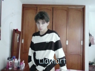 Liamart