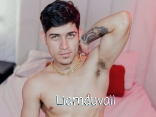 liamduvall Adult o Porn