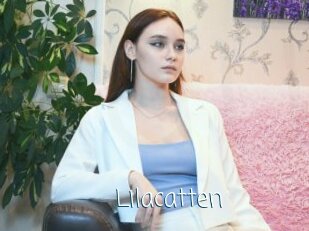 Lilacatten
