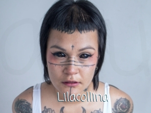 Lilacollina