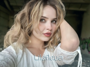 Lilaflauer