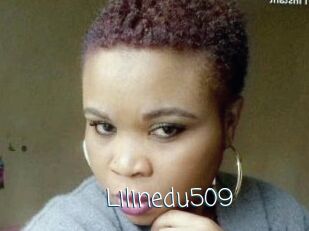 Lilinedu509