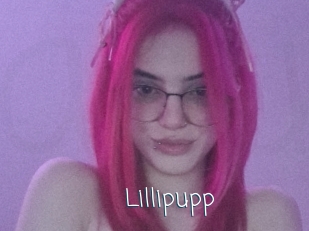 Lillipupp