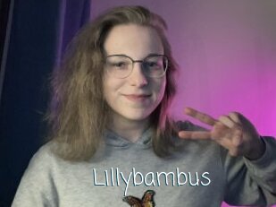 Lillybambus
