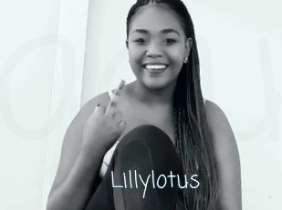 Lillylotus
