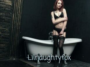 Lilnaughtyfox